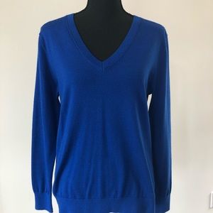 Banana Republic V neck cobalt blue sweater